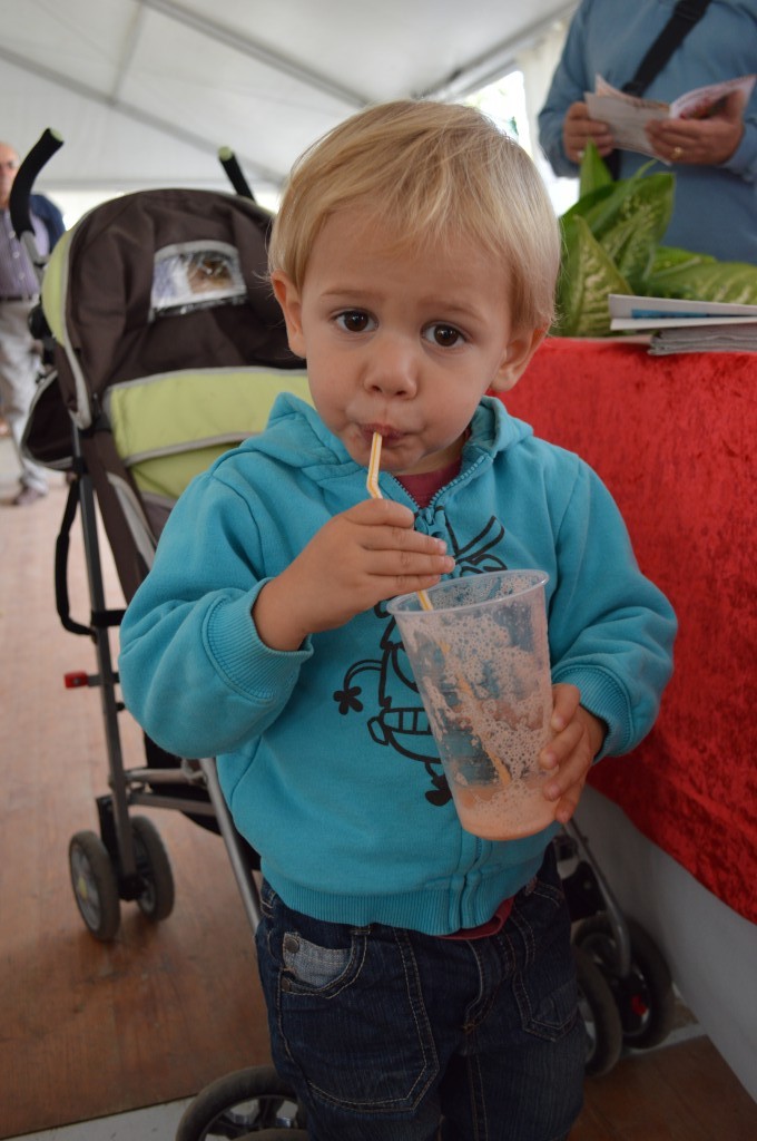 Moissac fiesta de la fruta